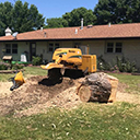 tree stump grinding